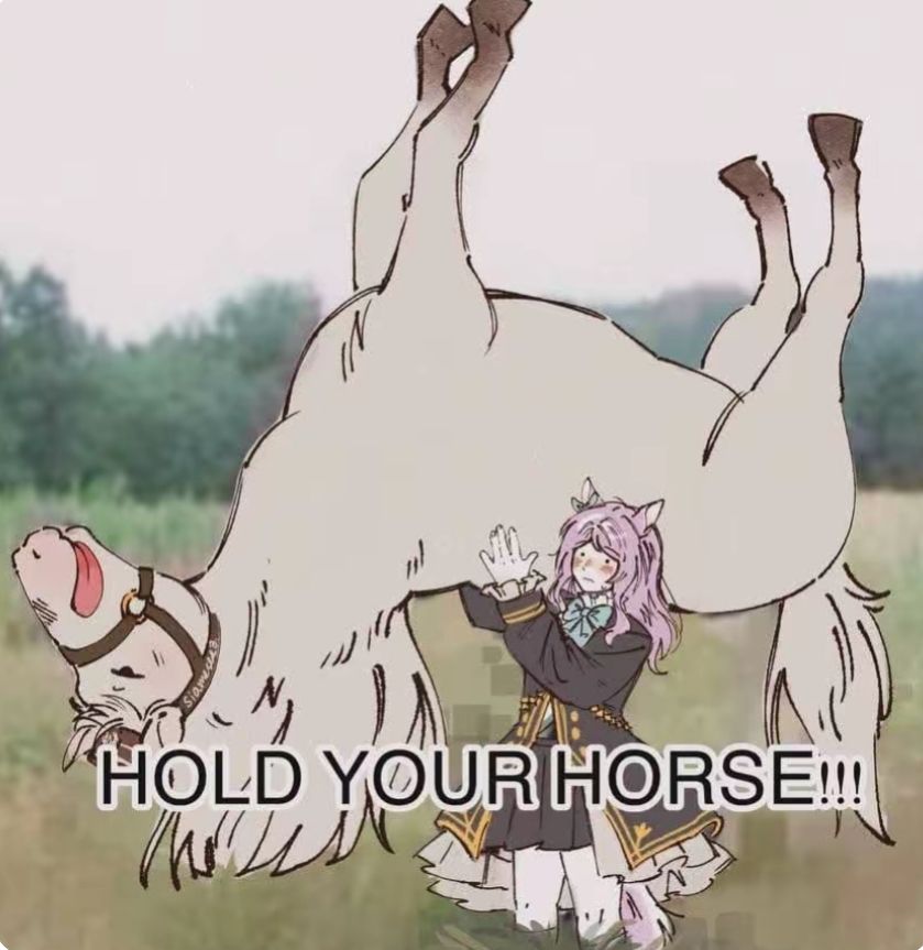 How to hold your horse